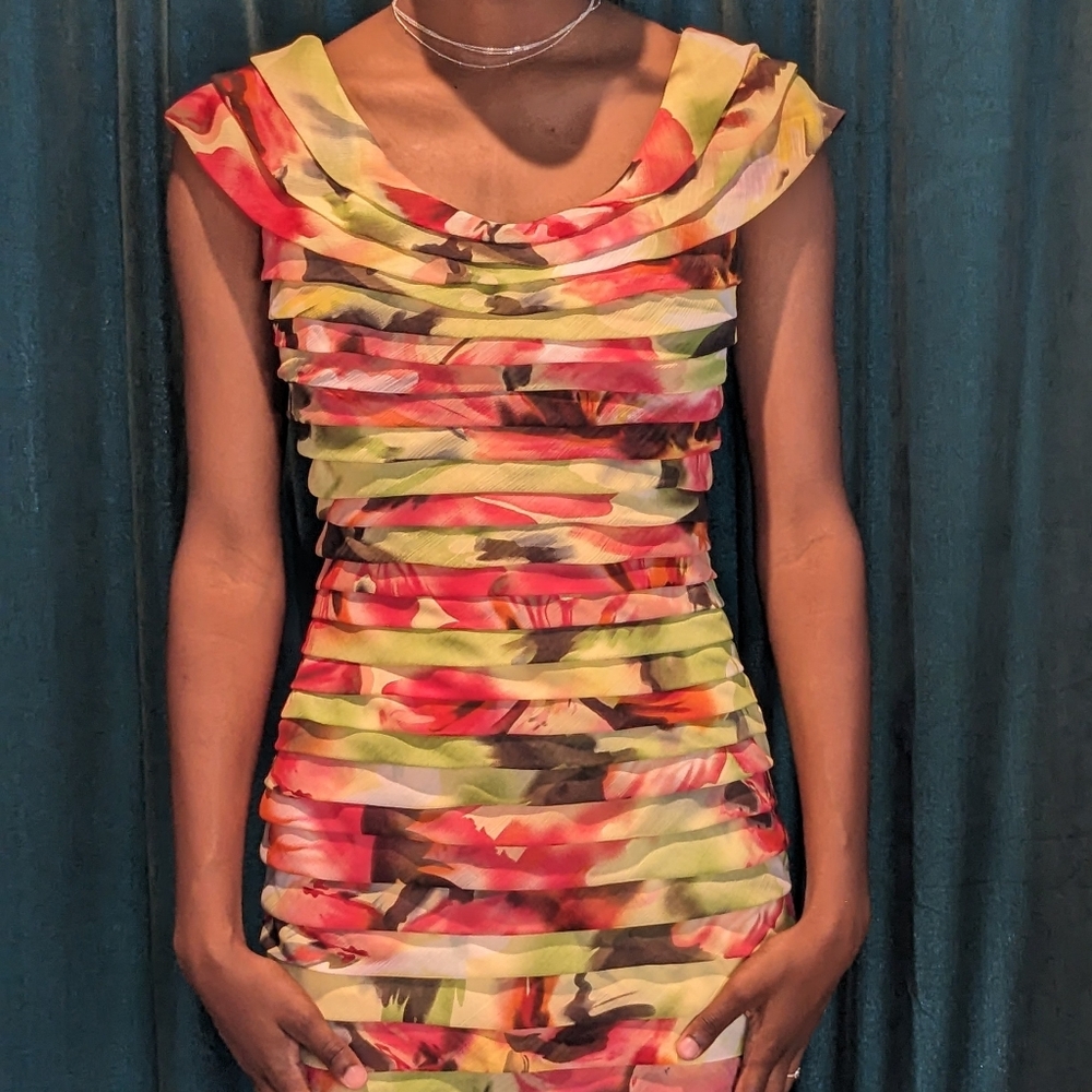 Adrianna Papell dress, multi color